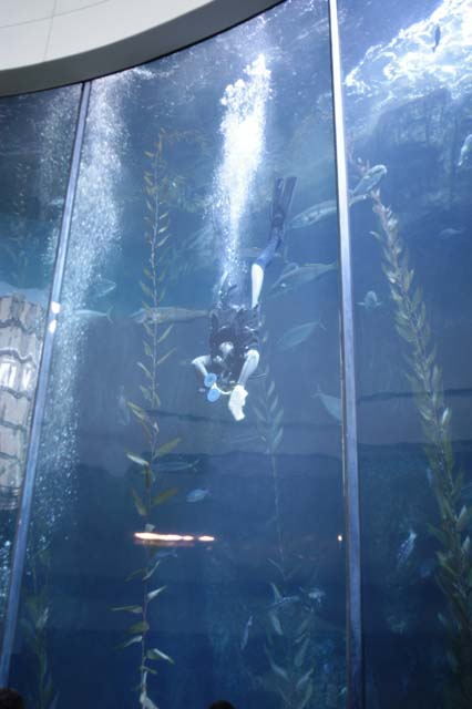 img2003-07-18_013-aquarium