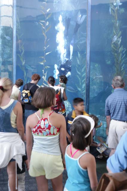 img2003-07-18_014-aquarium