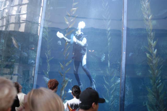 img2003-07-18_015-aquarium