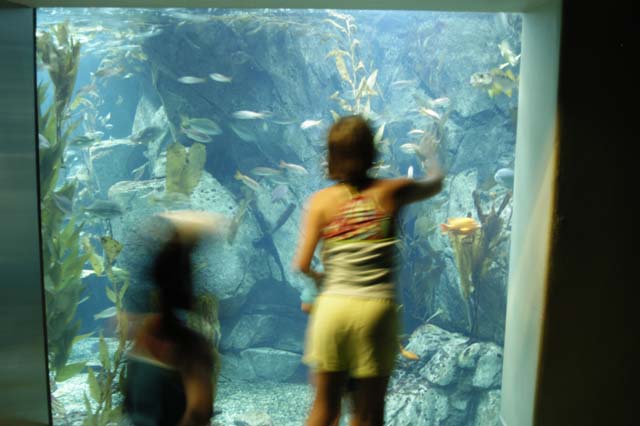 img2003-07-18_020-aquarium
