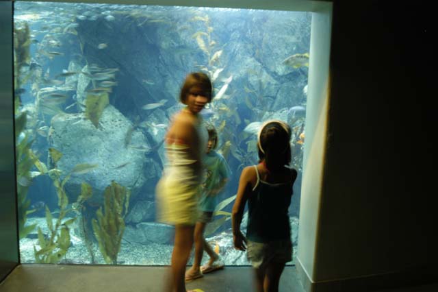 img2003-07-18_021-aquarium