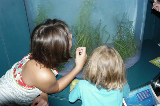 img2003-07-18_025-aquarium