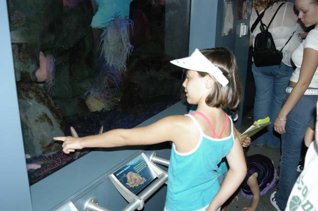 img2003-07-18_048-aquarium