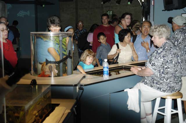 img2003-07-18_052-aquarium