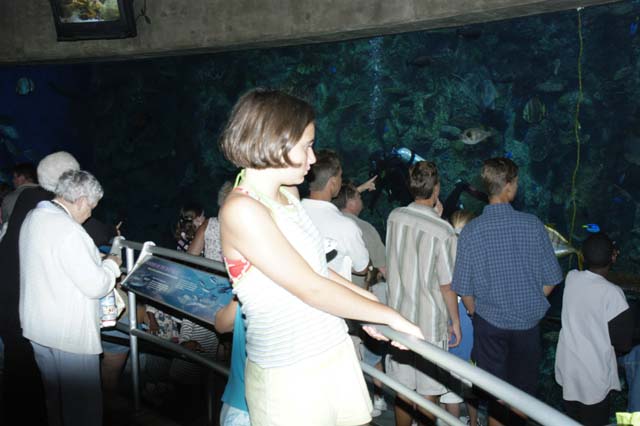 img2003-07-18_066-aquarium