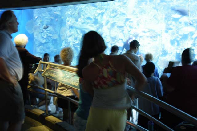 img2003-07-18_069-aquarium
