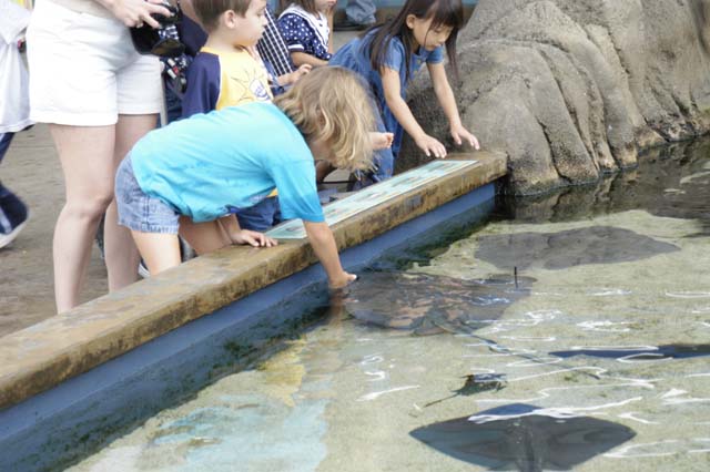 img2003-07-18_083-aquarium