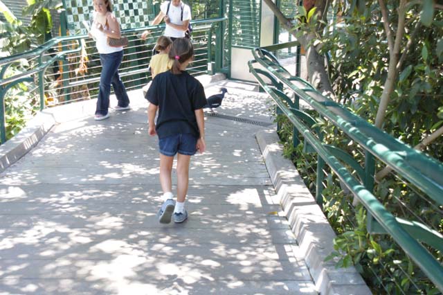 img2003-07-05_053-zoo