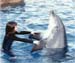 nomi_with_dolphin-1
