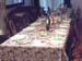 Seder with Dany Dassa-10