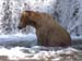 20130722-Alaska-Nome-Teller-48