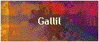 Gallil