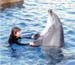Ilana_with_dolphin-1-p