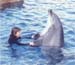 Ilana_with_dolphin-1