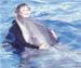 nomi_with_dolphin-4