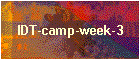 IDT-camp-week-3