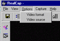realcap_options.gif (6842 bytes)