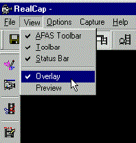realcap_view.gif (9811 bytes)